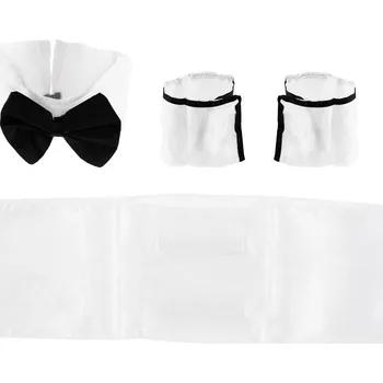 Karnevalový kostým Sada pro servírku