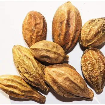 Vonná tyčinka VRCHOLÁK - ARJUNA celý plod