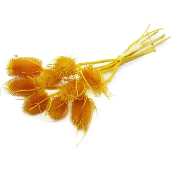 Zahradní dekorace Sušina Cardi palustri x10 giallo-žlutá (61770)