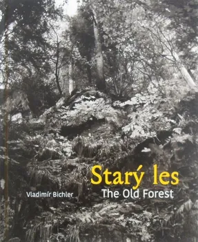 Umění Starý les/The Old Forest - Vladimír Bichler [CS/EN] (2019, pevná)