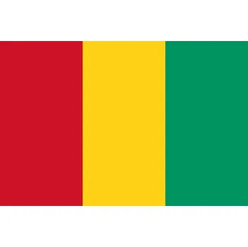 Vlajka Guinea vlajka - 30 x 45 cm - tunel, karabina