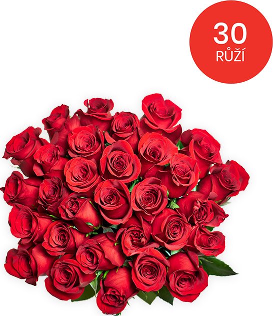 Rozvoz květin - 30 RŮŽÍ 70cm