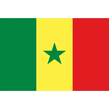 Vlajka Senegal vlajka - 30 x 45 cm - tunel, karabina