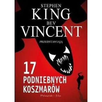 17 podniebnych koszmarów - Stephen King