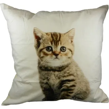 Dekorativní polštářek Bavlněný polštář Mourovaté kotě 50x50 cm - 50*10*50cm