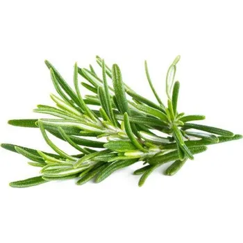 Speciální výživa Tymiánový krém