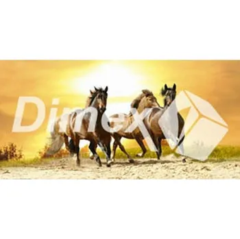 Obraz DIMEX | Obraz na skle | Koně GL-60-015 | 60 x 30 cm + Skleněný fotoobraz na stěnu české výroby DIMEX - GL-60-015 Koně, v rozměru 60 x 30 cm