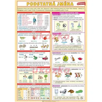 Český jazyk Podstatná jména-určujeme XL (100x70 cm)