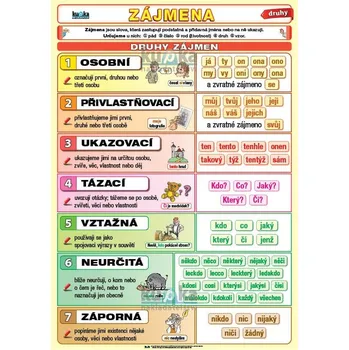 Český jazyk Zájmena-druhy XL (100x70 cm)