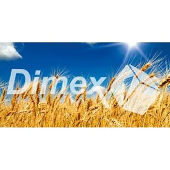 Obraz DIMEX | Obraz na skle | Pole pšenice GL-60-004 | 60 x 30 cm + Skleněný fotoobraz na stěnu české výroby DIMEX - GL-60-004 Pole pšenice, v rozměru 60 x 30 cm