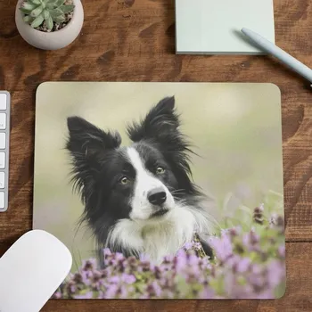 Podložka pod myš Podložka pod myš Border kolie