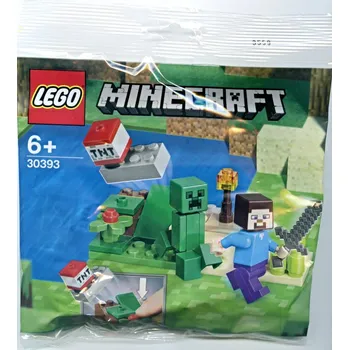 Stavebnice LEGO LEGO Minecraft 30393 Steve a Creeper