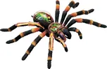 Hm Studio 4D anatomický model tarantule