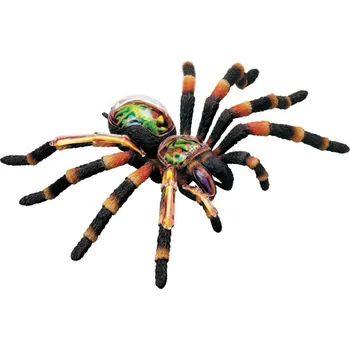 Výuková hračka Hm Studio 4D anatomický model tarantule