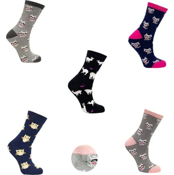 Pánské ponožky Aura.via Set 5 párů dámských thermo ponožek Aura.via: NB-6687 Barva: Mix barva 1, Velikost: 39-41