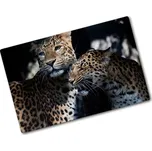 Kuchyňská deska skleněná Dva levharti