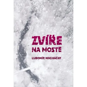 Zvíře na mostě - Lubomír Macháček