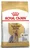 Royal Canin Yorkshire Terrier Adult, 500 g