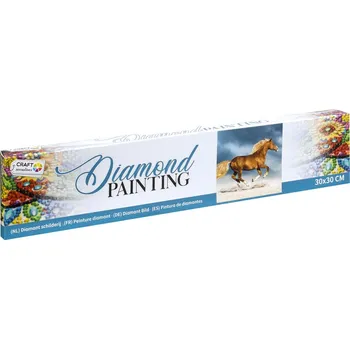 RMS Diamantové malování 30 x 30 cm, kůň