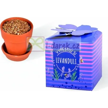 Žertovný předmět Vypěstování kytičky - Levandule