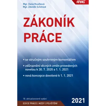 Zákoník práce 2021 - Dana Roučková, Zdeněk Schmied (2021, sešitová)