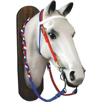 Lakota Nylonová uzdečka + otěže USA