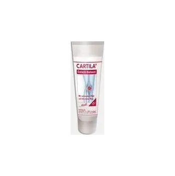 Kloubní výživa PROVISTA CARTILA Gelenk-balsam 50 ml na bolavé klouby