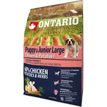 Ontario Puppy & Junior Large…