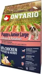 Ontario Puppy & Junior Large…