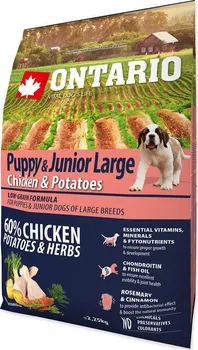 Krmivo pro psa Ontario Puppy & Junior Large Chicken/Potatoes