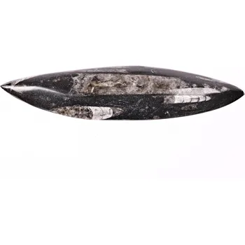 Přírodní kámen Magieprirody.cz Fosilie Orthoceras 130 g - (Maroko) #53