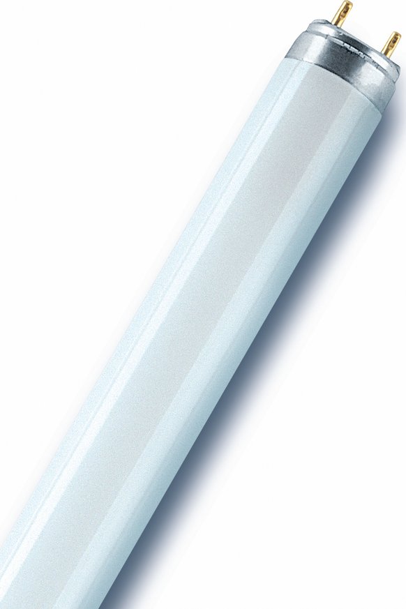 Tube Fluorescent OSRAM L 36W/965 Biolux - Lumière Du Jour, IRC 90 (Ra>90) - Pour Élevage Petit Animaux