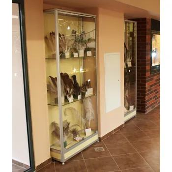 EXPOINT Prezentační vitrína bez horního soklu - kalené sklo Název: 40 x 40 x 180cm, kalené sklo, jednokřídlá