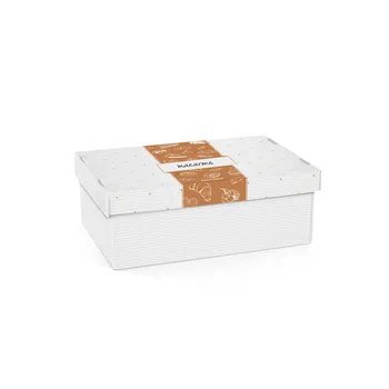 Potravinová dóza TESCOMA Delícia krabice na cukroví a lahůdky 28 x 18 cm