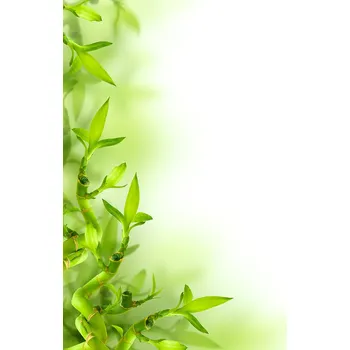 Topný panel Infrapanel - obrazový motiv ISS 150 plus, Zelený kaktus (Příplatek k bílému infrapanelu ISS 150 plus)