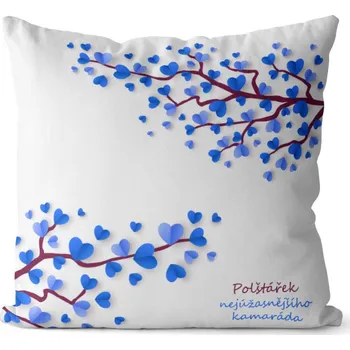 Dekorativní polštářek Polštářek Nejúžasnějšího kamaráda (Velikost: 40 x 40 cm)