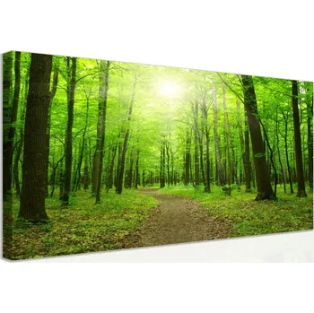 Obraz Malvis ® Obraz - procházka po lese Velikost: 60x40 cm