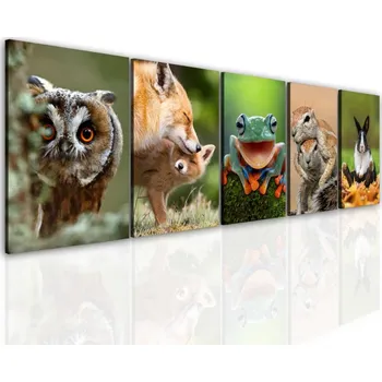 Obraz Malvis ® Obraz zvířata Velikost (šířka x výška): 100x30 cm