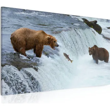 Obraz Malvis ® Obraz Medvědi při lovu Velikost (šířka x výška): 50x30 cm