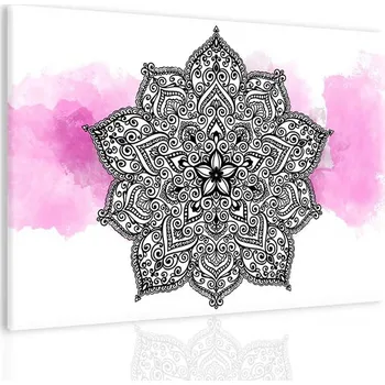 Obraz Malvis ® Obraz růžová duše Velikost (šířka x výška): 60x40 cm