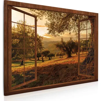 Obraz Malvis ® Obraz Okno do ráje přírody Velikost: obdélník - 90x60 cm