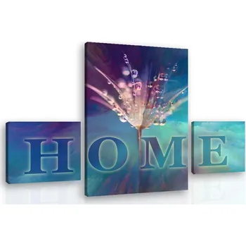 Obraz Malvis ® Obraz na stěnu HOME pampeliška Velikost: 110x80 cm