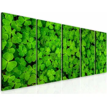 Obraz Malvis ® Pětidílný obraz štěstí Velikost (šířka x výška): 100x45 cm