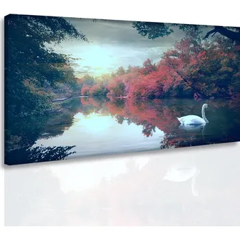 Malvis ® Obraz na stěnu Labuť na jezeře Velikost: 150x100 cm