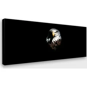 Obraz Malvis ® Obraz - orel Velikost: 60x40 cm