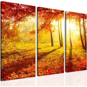 Obraz Malvis ® Obraz ráno na mýtině Velikost: 90x70 cm