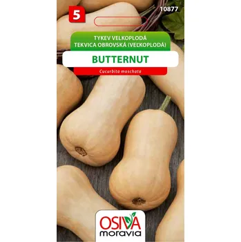 Semeno Tykev - Butternut