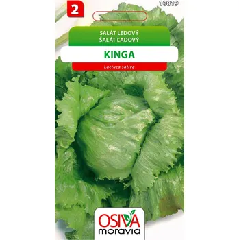 Semeno Salát hlávkový ledový - Kinga