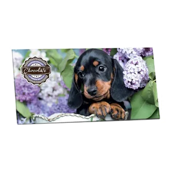 Cukrovinka SELLLOT Hořká čokoláda 60% s brusinkami 175g