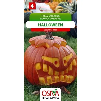 Semeno Tykev okrasná - Halooween